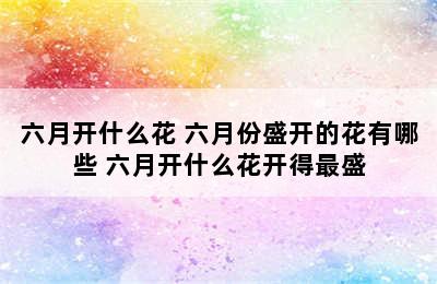 六月开什么花 六月份盛开的花有哪些 六月开什么花开得最盛